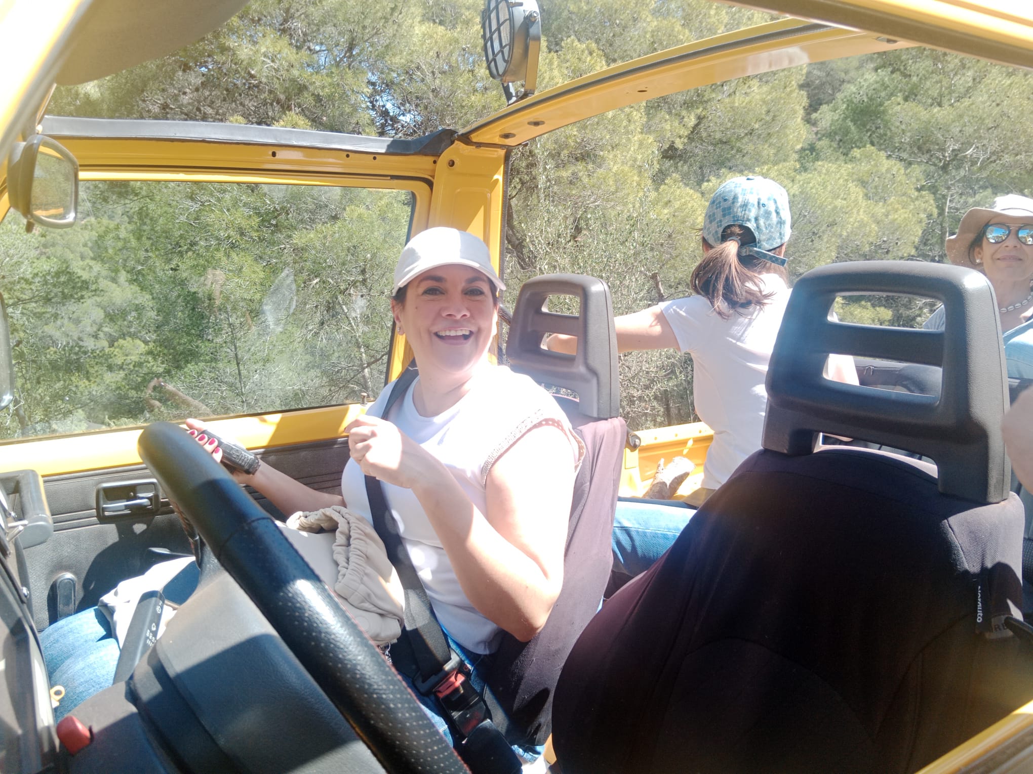 Domotrans , transporte nacional e internacional